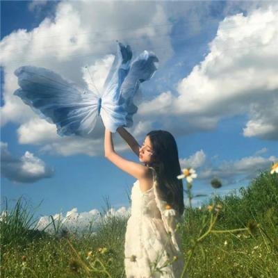 鲨鱼宝宝成长记海报