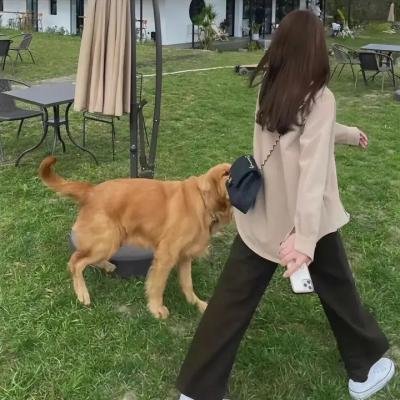 商务囧途海报